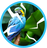 Dry Eye<br class='hidden-sm hidden-xs'/> Syndrome